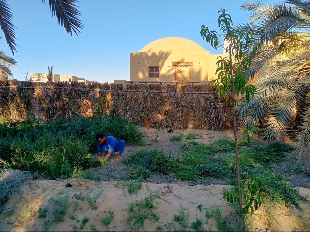 Wafla Βίλα Siwa Oasis Εξωτερικό φωτογραφία