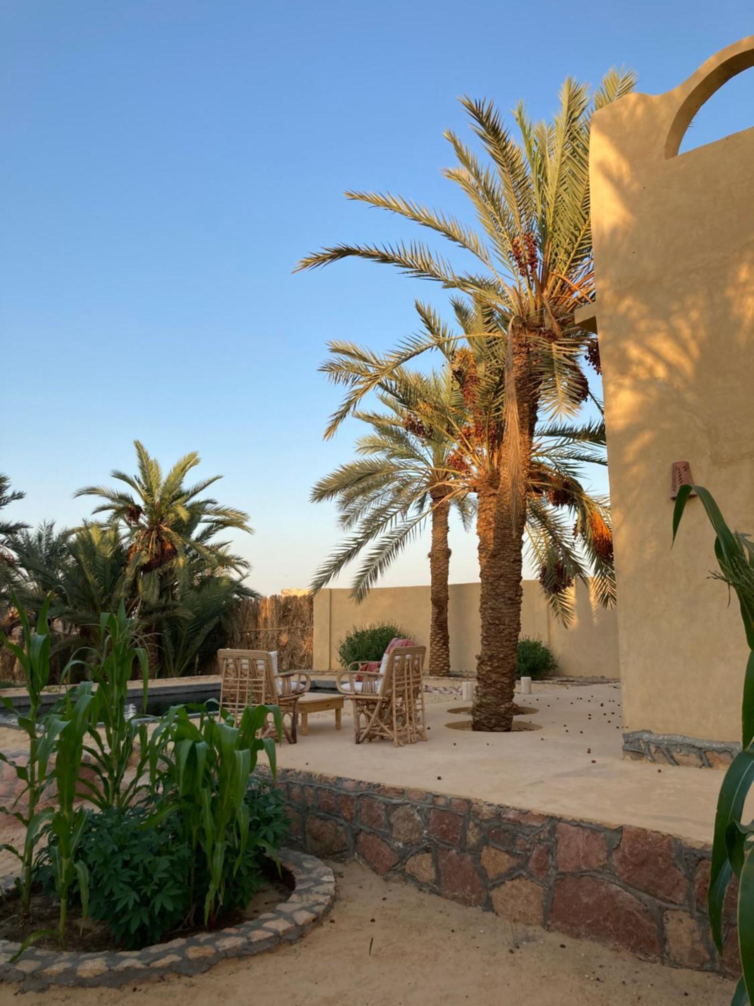 Wafla Βίλα Siwa Oasis Εξωτερικό φωτογραφία