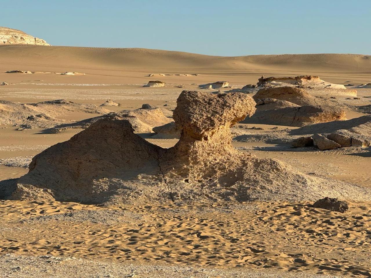 Wafla Βίλα Siwa Oasis Εξωτερικό φωτογραφία